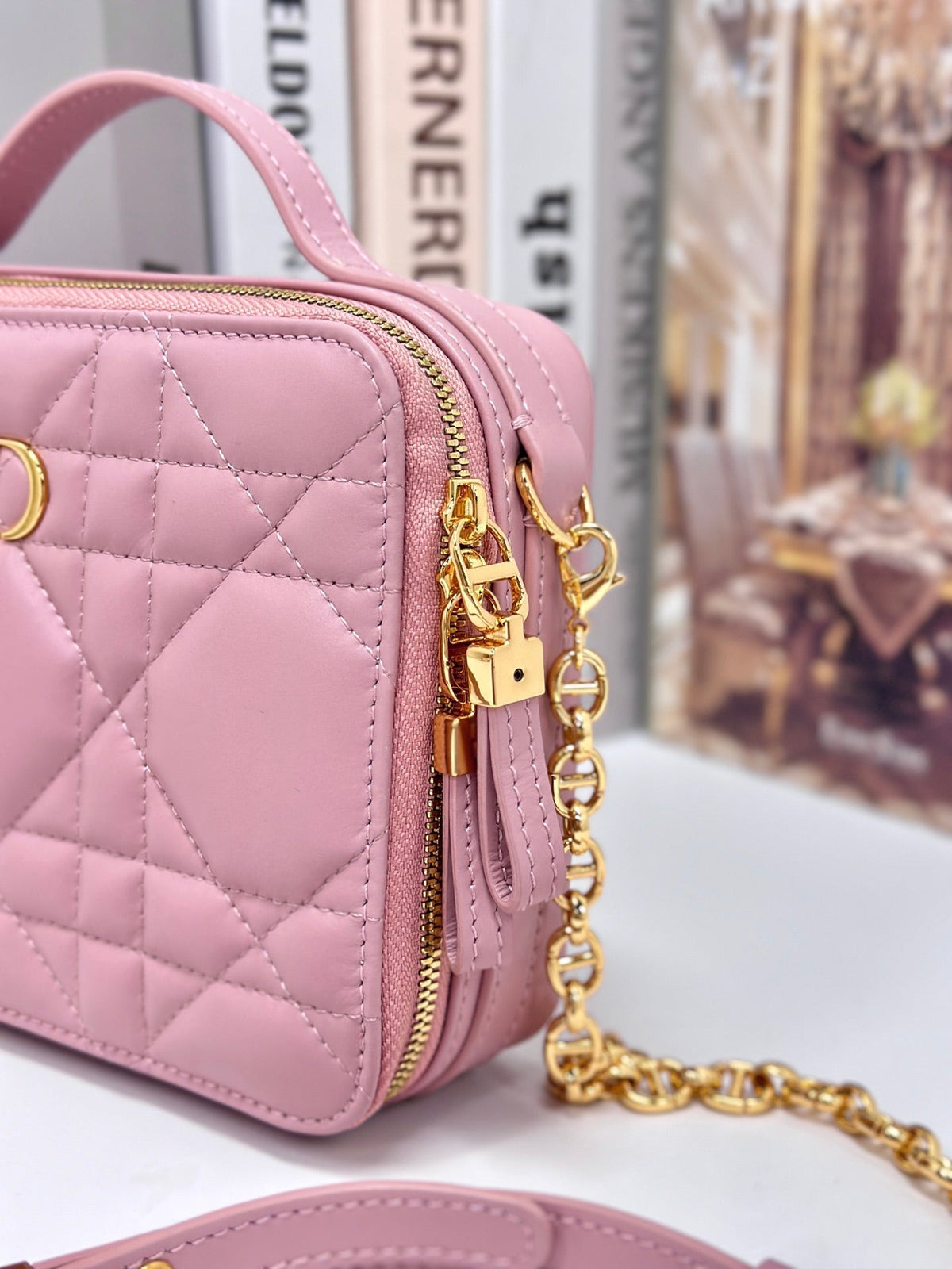 DIOR CARO BOX 19 IN LIGHT PINK CALFSKIN