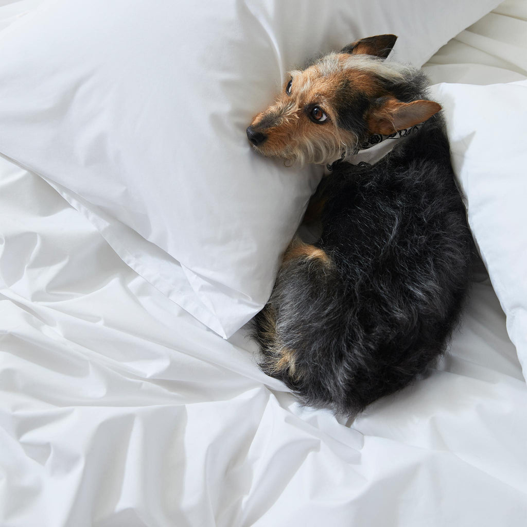 Classic Percale No Flat Sheet Set Bundle